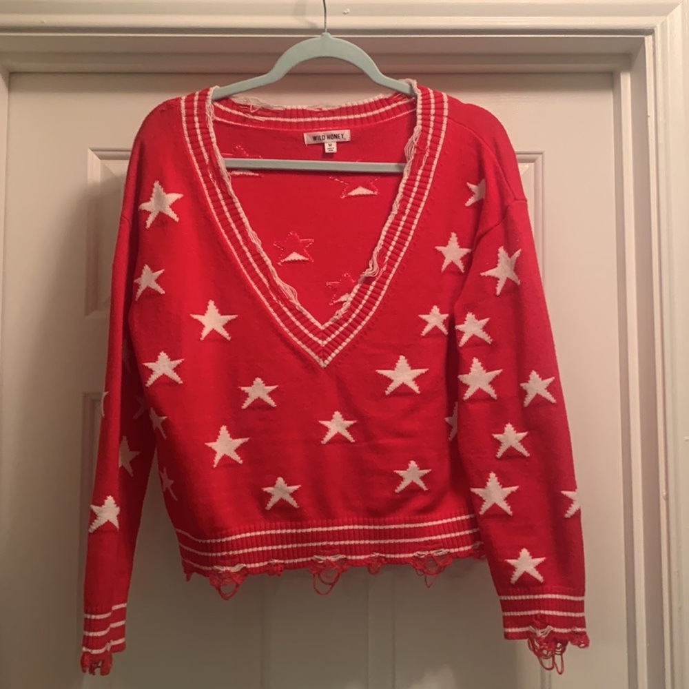 Wild honey red and white star sweater